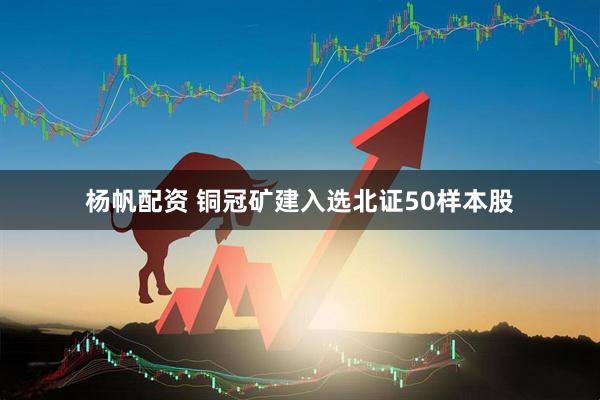 杨帆配资 铜冠矿建入选北证50样本股