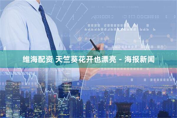 维海配资 天竺葵花开也漂亮 - 海报新闻