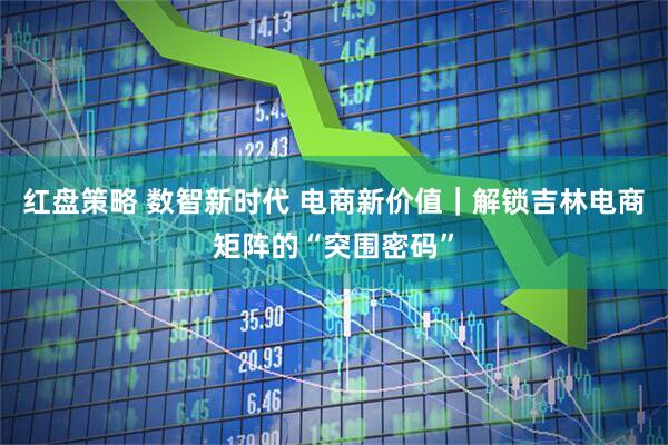 红盘策略 数智新时代 电商新价值｜解锁吉林电商矩阵的“突围密码”