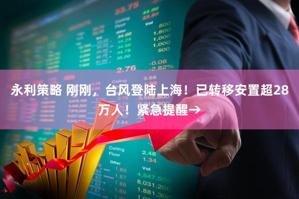 永利策略 刚刚，台风登陆上海！已转移安置超28万人！紧急提醒→