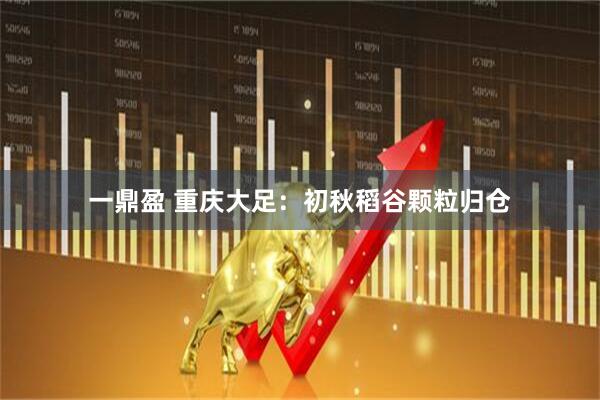 一鼎盈 重庆大足：初秋稻谷颗粒归仓