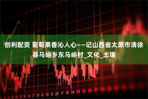 创利配资 葡萄果香沁人心——记山西省太原市清徐县马峪乡东马峪村_文化_土壤