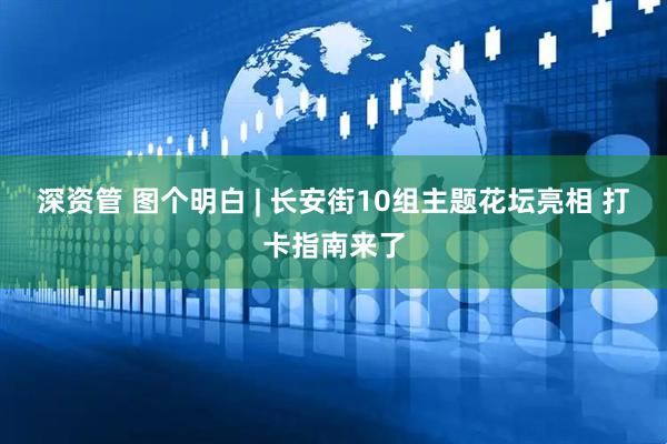 深资管 图个明白 | 长安街10组主题花坛亮相 打卡指南来了