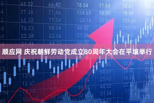 顺应网 庆祝朝鲜劳动党成立80周年大会在平壤举行